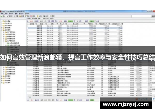 如何高效管理新浪邮箱，提高工作效率与安全性技巧总结